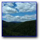[Click to enlarge image]